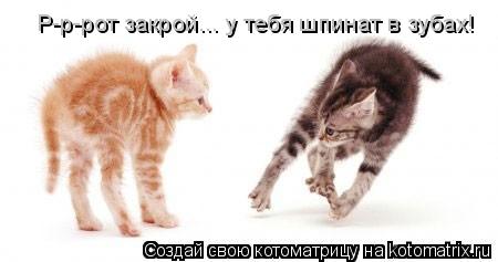 Р-р-рот закрой... у тебя шпинат в зубах!... Котоматрица: Р-р-рот закрой... у тебя шпинат в зубах!