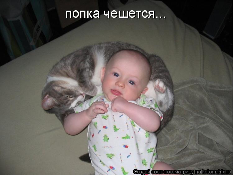 попка чешется...... Котоматрица: попка чешется...