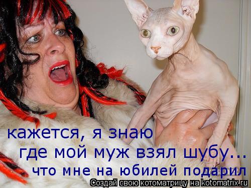 кажется, я знаю где мой муж взял шубу... что мне на юбилей подарил... Котоматрица: кажется, я знаю где мой муж взял шубу... что мне на юбилей подарил