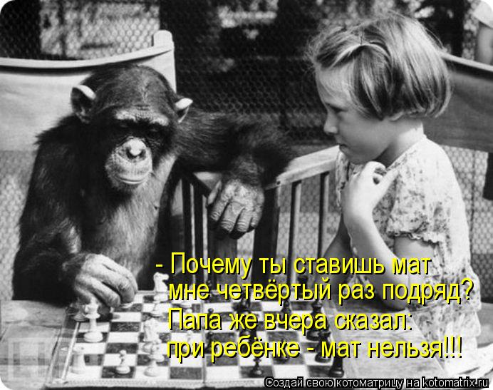 Котоматрица: - Почему ты ставишь мат  мне четвёртый раз подряд? Папа же вчера сказал:  при ребёнке - мат нельзя!!!