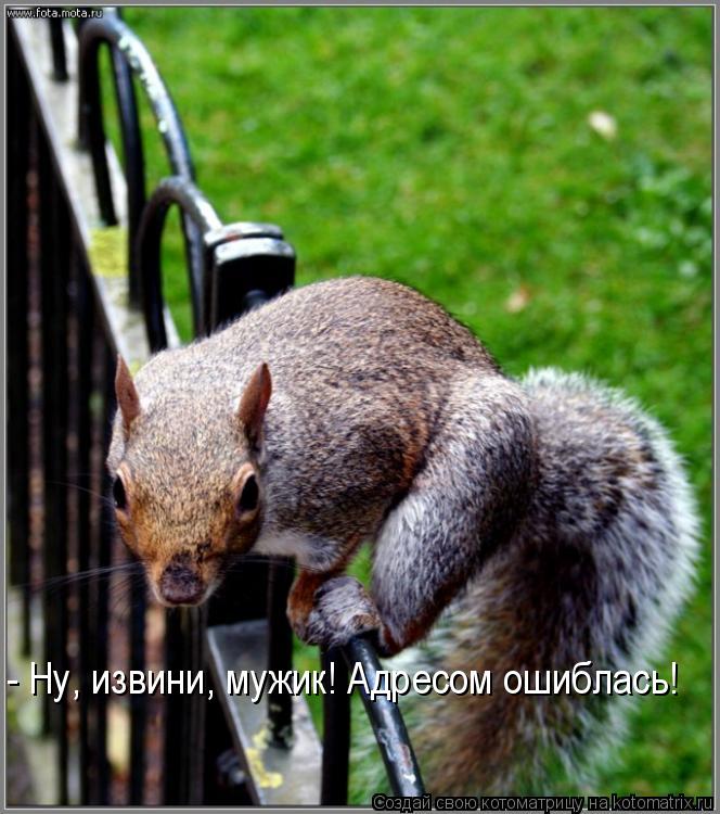 Котоматрица: - Ну, извини, мужик! Адресом ошиблась!