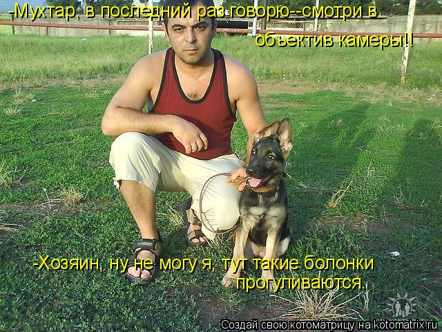 -Мухтар, в последний раз говорю--смотри в объектив камеры!! -Хозяин, ну не могу я, тут такие болонки... Котоматрица: -Мухтар, в последний раз говорю--смотри в объектив камеры!! -Хозяин, ну не могу я, тут такие болонки прогуливаются.