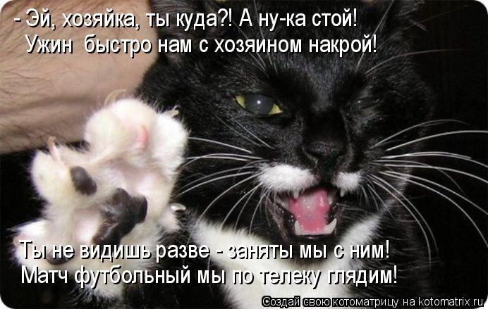 Котоматрица: - Эй, хозяйка, ты куда?! А ну-ка стой! Ужин  быстро нам с хозяином накрой! Ты не видишь разве - заняты мы с ним! Матч футбольный мы по телеку гляди
