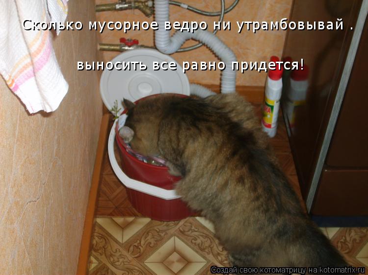 Сколько мусорное ведро ни утрамбовывай – выносить все равно придется!... Котоматрица: Сколько мусорное ведро ни утрамбовывай – выносить все равно придется!
