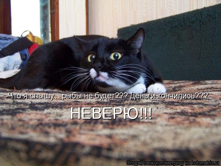 -Что я слышу... рыбы не будет??? Деньги кончились??? НЕВЕРЮ!!!... Котоматрица: -Что я слышу... рыбы не будет??? Деньги кончились??? НЕВЕРЮ!!!