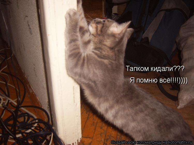 Тапком кидали??? Я помню всё!!!!))))... Котоматрица: Тапком кидали??? Я помню всё!!!!))))