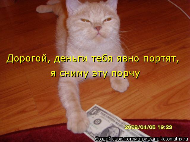 Дорогой, деньги тебя явно портят, я сниму эту порчу... Котоматрица: Дорогой, деньги тебя явно портят, я сниму эту порчу