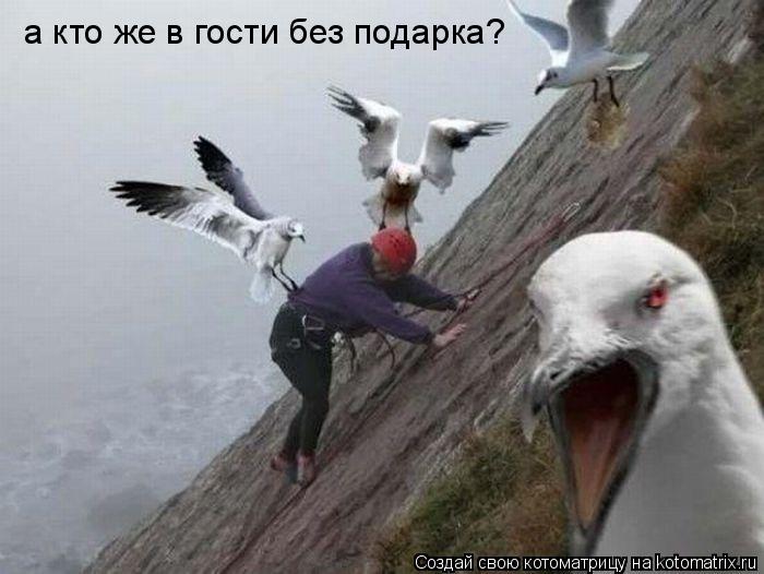 а кто же в гости без подарка?... Котоматрица: а кто же в гости без подарка?