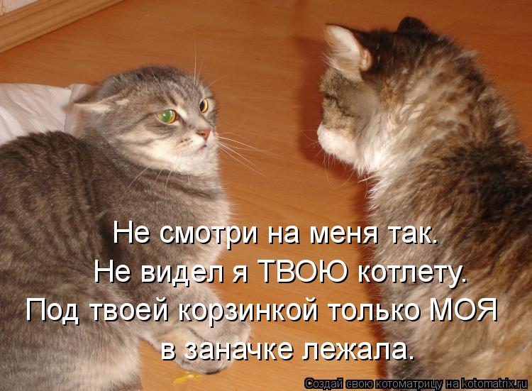 Котоматрица: Не смотри на меня так. Не видел я ТВОЮ котлету. Под твоей корзинкой только МОЯ  в заначке лежала.