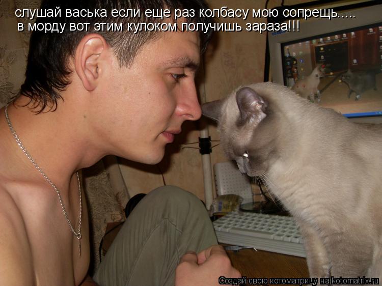 слушай васька если еще раз колбасу мою сопрещь..... в морду вот этим кулоком получишь зараза!!!... Котоматрица: слушай васька если еще раз колбасу мою сопрещь..... в морду вот этим кулоком получишь зараза!!!