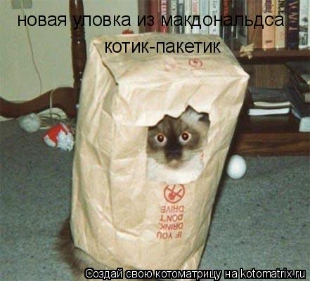 новая уловка из макдональдса котик-пакетик... Котоматрица: новая уловка из макдональдса котик-пакетик