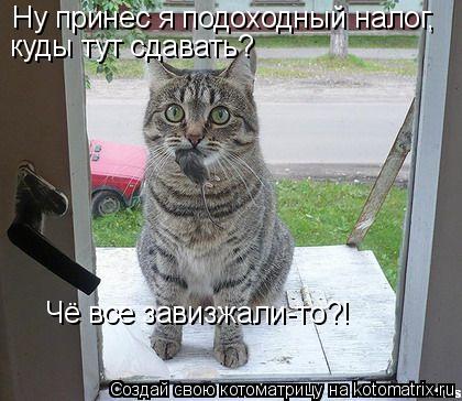 Ну принес я подоходный налог, Чё все завизжали-то?! куды тут сдавать?... Котоматрица: Ну принес я подоходный налог, Чё все завизжали-то?! куды тут сдавать?