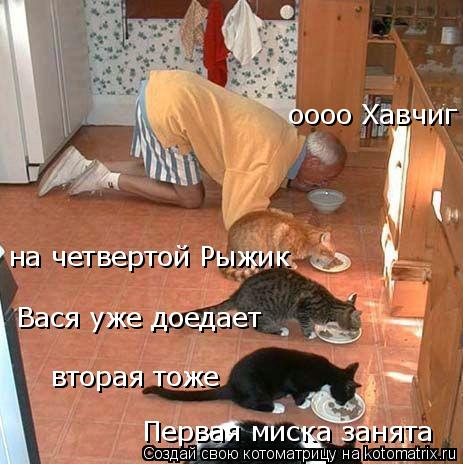 Первая миска занята вторая тоже на четвертой Рыжик Вася уже доедает оооо Хавчиг... Котоматрица: Первая миска занята вторая тоже на четвертой Рыжик Вася уже доедает оооо Хавчиг
