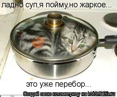 ладно суп,я пойму,но жаркое... это уже перебор...... Котоматрица: ладно суп,я пойму,но жаркое... это уже перебор...