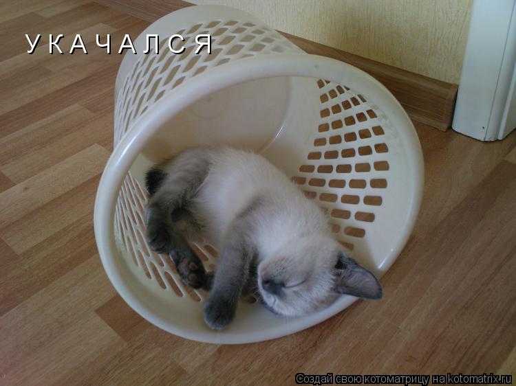 Котоматрица: У К А Ч А Л С Я