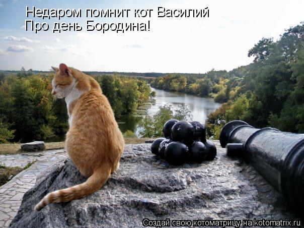 Недаром помнит кот Василий Про день Бородина!... Котоматрица: Недаром помнит кот Василий Про день Бородина!