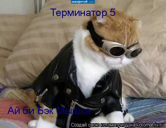 Терминатор 5 Ай би Бэк Мышка... Котоматрица: Терминатор 5 Ай би Бэк Мышка