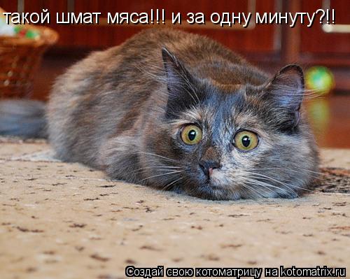 такой шмат мяса!!! и за одну минуту?!!... Котоматрица: такой шмат мяса!!! и за одну минуту?!!