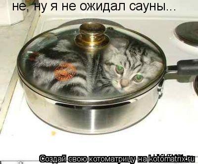 не, ну я не ожидал сауны...... Котоматрица: не, ну я не ожидал сауны...