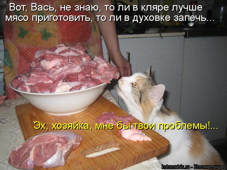 Котоматрица: Вот, Вась, не знаю, то ли в кляре лучше мясо приготовить, то ли в духовке запечь... Эх, хозяйка, мне бы твои проблемы!...