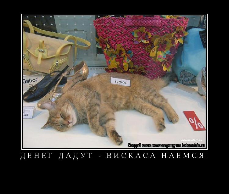 ДЕНЕГ ДАДУТ - ВИСКАСА НАЕМСЯ! ... Котоматрица: ДЕНЕГ ДАДУТ - ВИСКАСА НАЕМСЯ!