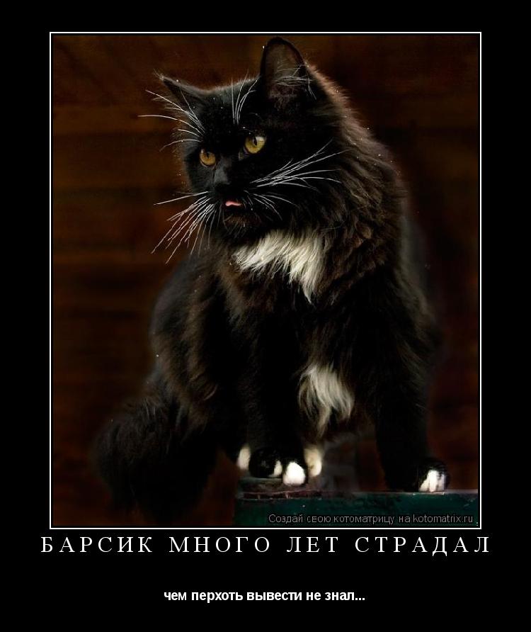 Барсик много лет страдал чем перхоть вывести не знал...... Котоматрица: Барсик много лет страдал чем перхоть вывести не знал...