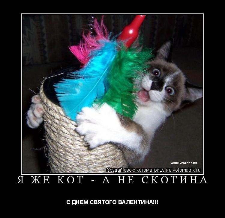 Я ЖЕ КОТ - А НЕ СКОТИНА С ДНЕМ СВЯТОГО ВАЛЕНТИНА!!!... Котоматрица: Я ЖЕ КОТ - А НЕ СКОТИНА С ДНЕМ СВЯТОГО ВАЛЕНТИНА!!!