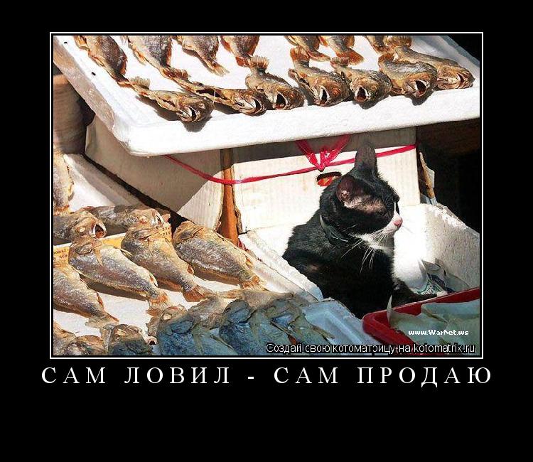 САМ ЛОВИЛ - САМ ПРОДАЮ ... Котоматрица: САМ ЛОВИЛ - САМ ПРОДАЮ