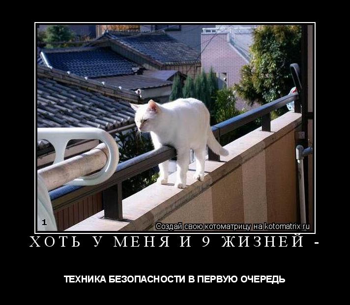 ХОТЬ У МЕНЯ И 9 ЖИЗНЕЙ - ТЕХНИКА БЕЗОПАСНОСТИ В ПЕРВУЮ ОЧЕРЕДЬ... Котоматрица: ХОТЬ У МЕНЯ И 9 ЖИЗНЕЙ - ТЕХНИКА БЕЗОПАСНОСТИ В ПЕРВУЮ ОЧЕРЕДЬ