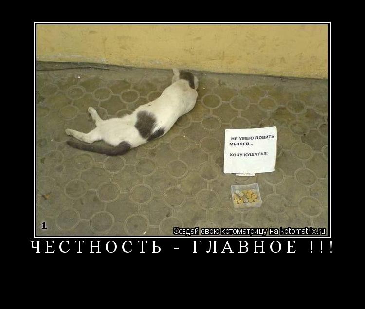 ЧЕСТНОСТЬ - ГЛАВНОЕ !!! ... Котоматрица: ЧЕСТНОСТЬ - ГЛАВНОЕ !!!