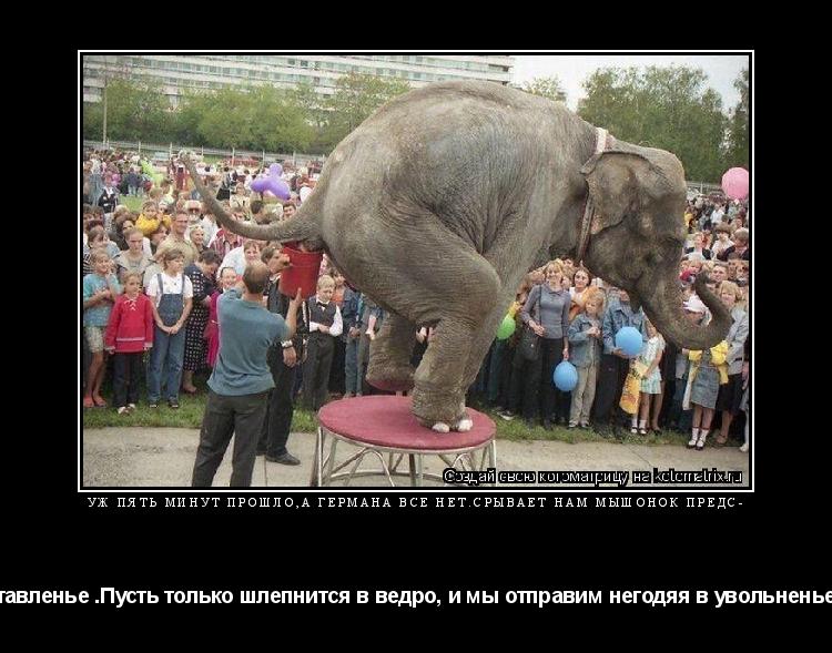 уж пять минут прошло,а германа все нет.срывает нам мышонок предс- тавленье .Пусть только шлепнится в ... Котоматрица: уж пять минут прошло,а германа все нет.срывает нам мышонок предс- тавленье .Пусть только шлепнится в ведро, и мы отправим негодяя в увольнен