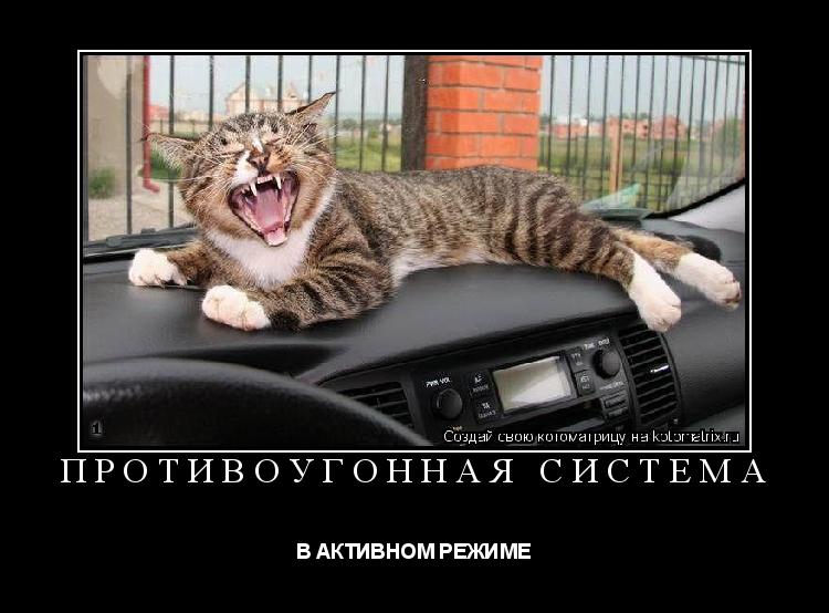 ПРОТИВОУГОННАЯ СИСТЕМА В АКТИВНОМ РЕЖИМЕ... Котоматрица: ПРОТИВОУГОННАЯ СИСТЕМА В АКТИВНОМ РЕЖИМЕ