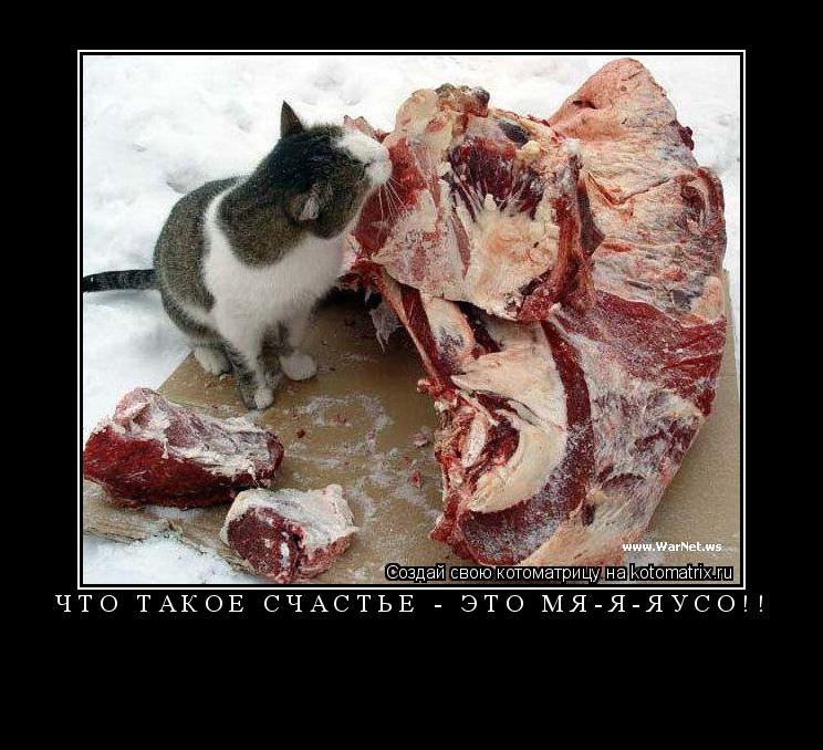 ЧТО ТАКОЕ СЧАСТЬЕ - ЭТО МЯ-Я-ЯУСО!! ... Котоматрица: ЧТО ТАКОЕ СЧАСТЬЕ - ЭТО МЯ-Я-ЯУСО!!
