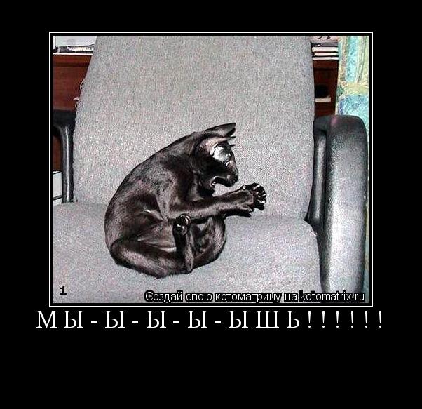МЫ-Ы-Ы-Ы-ЫШЬ!!!!!! ... Котоматрица: МЫ-Ы-Ы-Ы-ЫШЬ!!!!!!