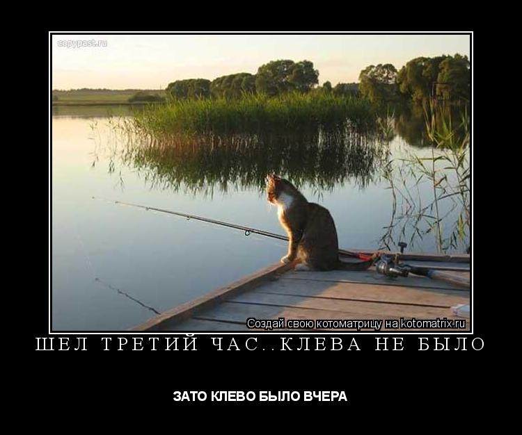 ШЕЛ ТРЕТИЙ ЧАС..КЛЕВА НЕ БЫЛО ЗАТО КЛЕВО БЫЛО ВЧЕРА... Котоматрица: ШЕЛ ТРЕТИЙ ЧАС..КЛЕВА НЕ БЫЛО ЗАТО КЛЕВО БЫЛО ВЧЕРА