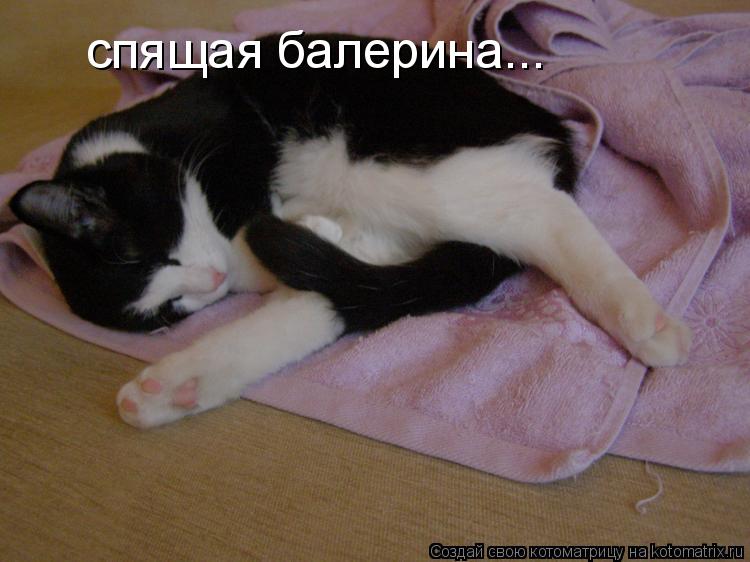 спящая балерина...... Котоматрица: спящая балерина...