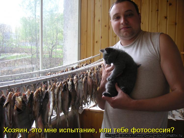 Хозяин, это мне испытание, или тебе фотосессия?... Котоматрица: Хозяин, это мне испытание, или тебе фотосессия?
