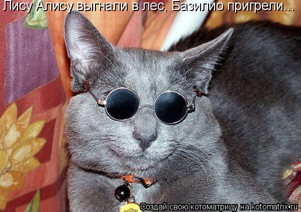 Лису Алису выгнали в лес, Базилио пригрели...... Котоматрица: Лису Алису выгнали в лес, Базилио пригрели...