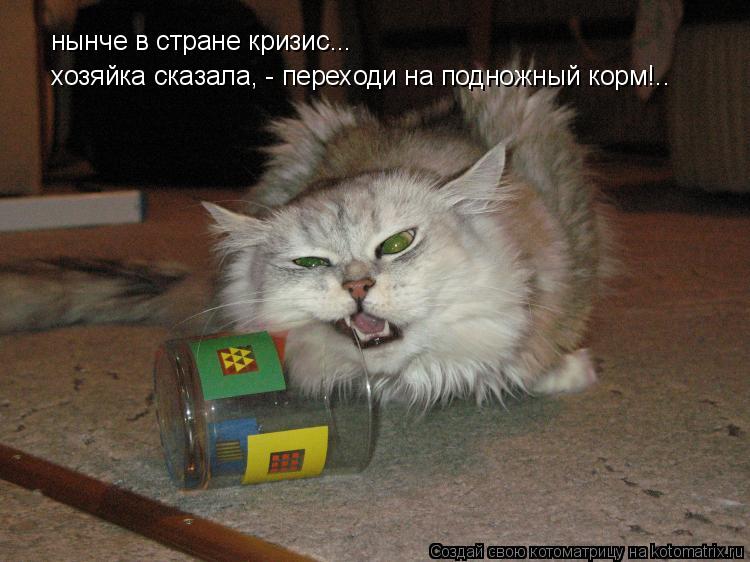 нынче в стране кризис... хозяйка сказала, - переходи на подножный корм!..... Котоматрица: нынче в стране кризис... хозяйка сказала, - переходи на подножный корм!..