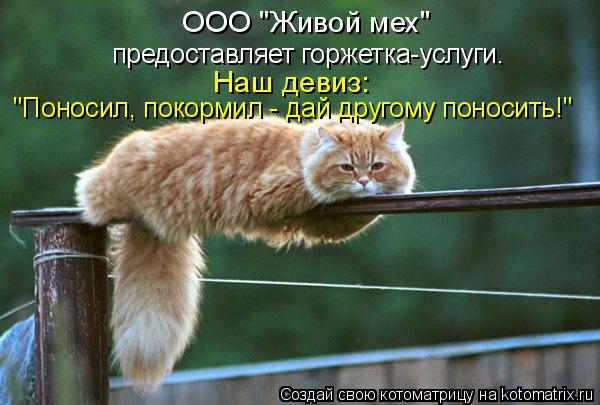 "Поносил, покормил - дай другому поносить!" Наш девиз: предоставляет горжетка-услуги. ООО "Живой мех... Котоматрица: "Поносил, покормил - дай другому поносить!" Наш девиз: предоставляет горжетка-услуги. ООО "Живой мех"
