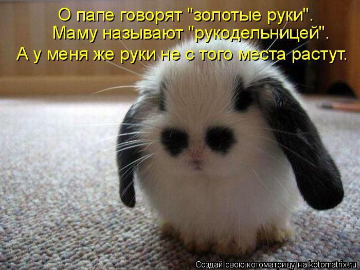 О папе говорят "золотые руки". Маму называют "рукодельницей". А у меня же руки не с того места растут... Котоматрица: О папе говорят "золотые руки". Маму называют "рукодельницей". А у меня же руки не с того места растут.