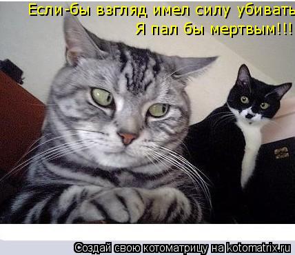 Если-бы взгляд имел силу убивать, Я пал бы мертвым!!!... Котоматрица: Если-бы взгляд имел силу убивать, Я пал бы мертвым!!!
