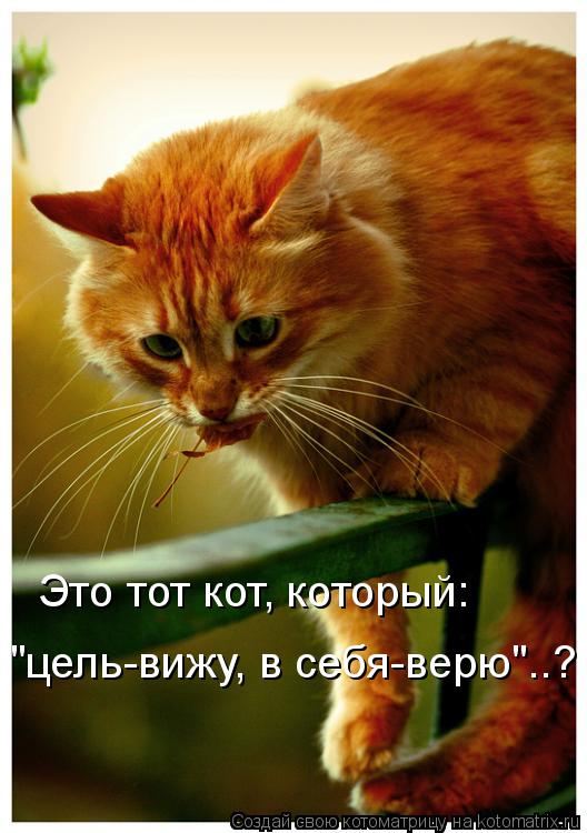 Это тот кот, который: "цель-вижу, в себя-верю"..?... Котоматрица: Это тот кот, который: "цель-вижу, в себя-верю"..?