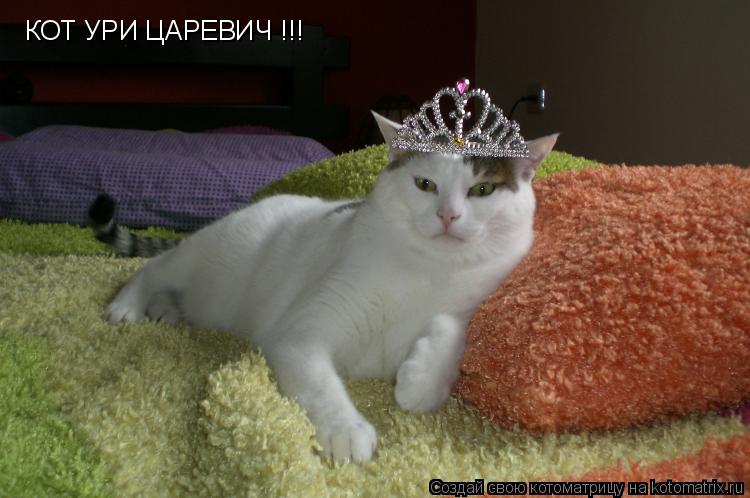 Котоматрица: КОТ УРИ ЦАРЕВИЧ !!!