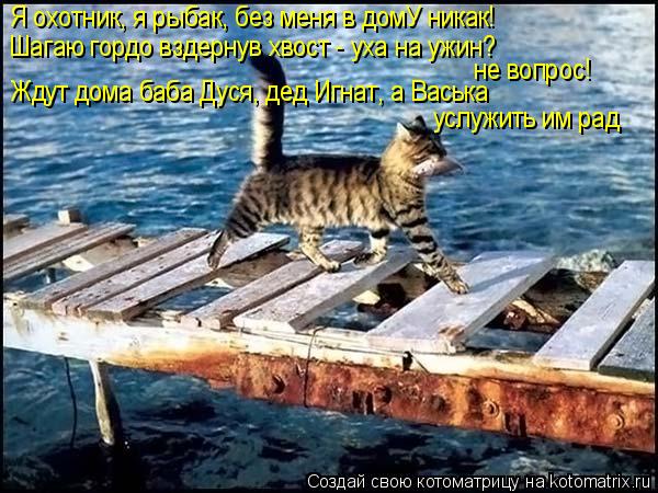 Я охотник, я рыбак, без меня в домУ никак! Шагаю гордо вздернув хвост - уха на ужин? не вопрос! Ждут ... Котоматрица: Я охотник, я рыбак, без меня в домУ никак! Шагаю гордо вздернув хвост - уха на ужин? не вопрос! Ждут дома баба Дуся, дед Игнат, а Васька услужить