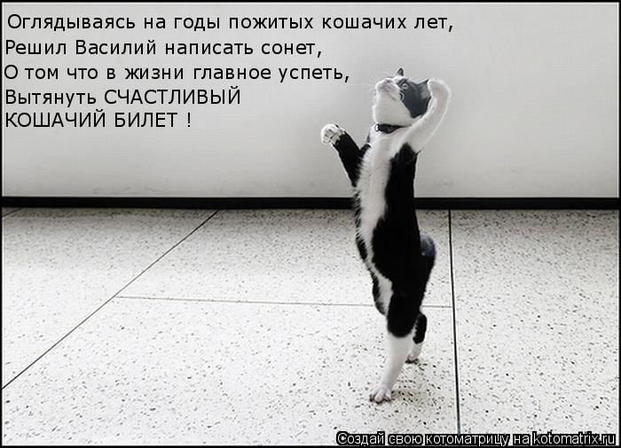 Оглядываясь на годы пожитых кошачих лет, Решил Василий написать сонет, О том что в жизни главное успе... Котоматрица: Оглядываясь на годы пожитых кошачих лет, Решил Василий написать сонет, О том что в жизни главное успеть, Вытянуть СЧАСТЛИВЫЙ КОШАЧИЙ БИЛЕТ !