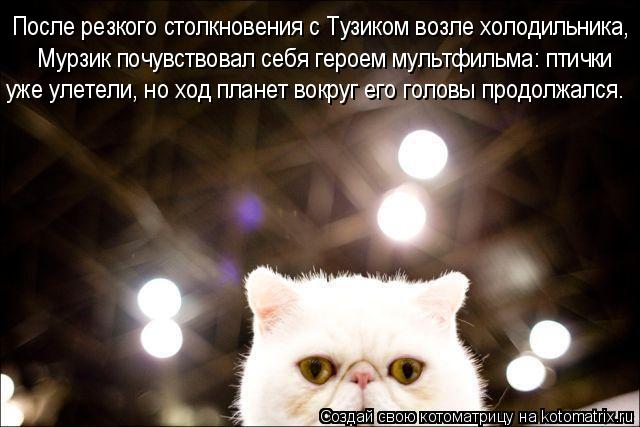 После резкого столкновения с Тузиком возле холодильника, Мурзик почувствовал себя героем мультфильма... Котоматрица: После резкого столкновения с Тузиком возле холодильника, Мурзик почувствовал себя героем мультфильма: птички уже улетели, но ход планет в