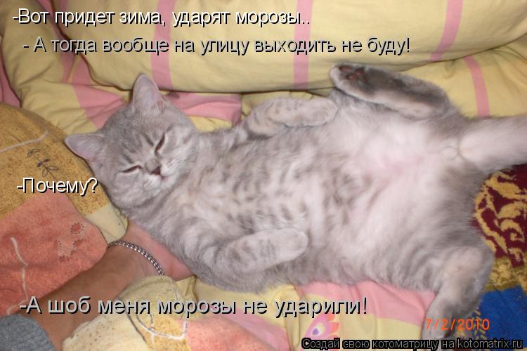 -Вот придет зима, ударят морозы.. -Вот придет зима, ударят морозы.. - А тогда вообще на улицу выходит... Котоматрица: -Вот придет зима, ударят морозы.. -Вот придет зима, ударят морозы.. - А тогда вообще на улицу выходить не буду! -Почему? -А шоб меня морозы не уда