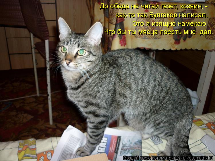 До обеда не читай газет, хозяин, - как-то так Булгаков написал. Это я изящно намекаю Что бы ты мясца... Котоматрица: До обеда не читай газет, хозяин, - как-то так Булгаков написал. Это я изящно намекаю Что бы ты мясца поесть мне дал.