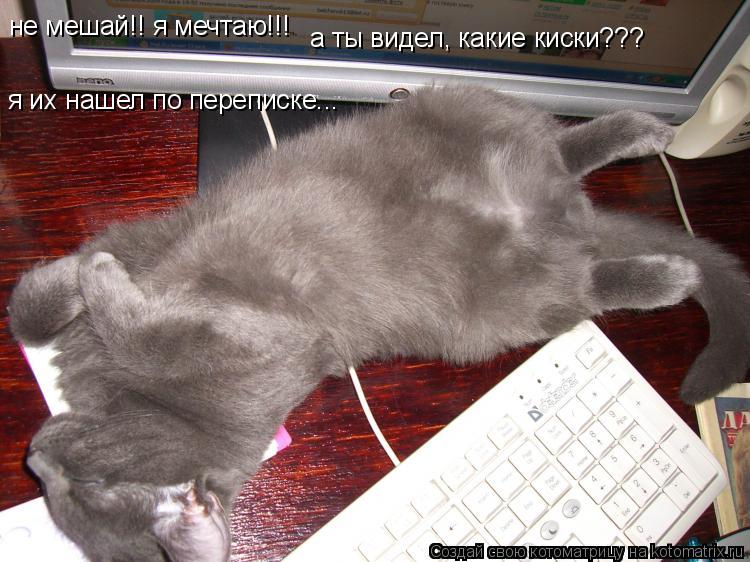 не мешай!! я мечтаю!!! а ты видел, какие киски??? я их нашел по переписке...... Котоматрица: не мешай!! я мечтаю!!! а ты видел, какие киски??? я их нашел по переписке...